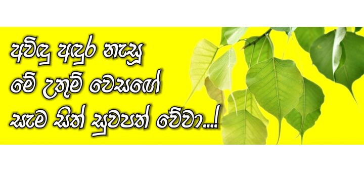 ඔබ සැමට පින්බර වෙසක් මංගල්‍යයක් වේවා!